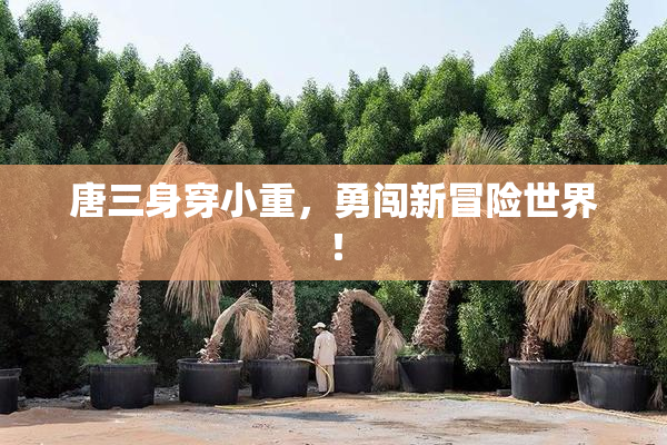 唐三身穿小重，勇闯新冒险世界！