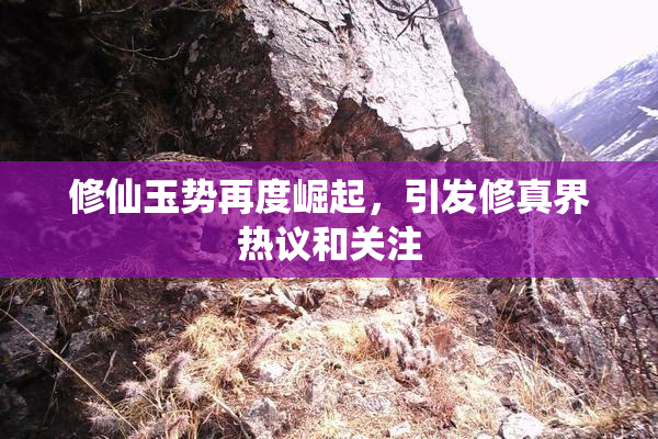 修仙玉势再度崛起，引发修真界热议和关注