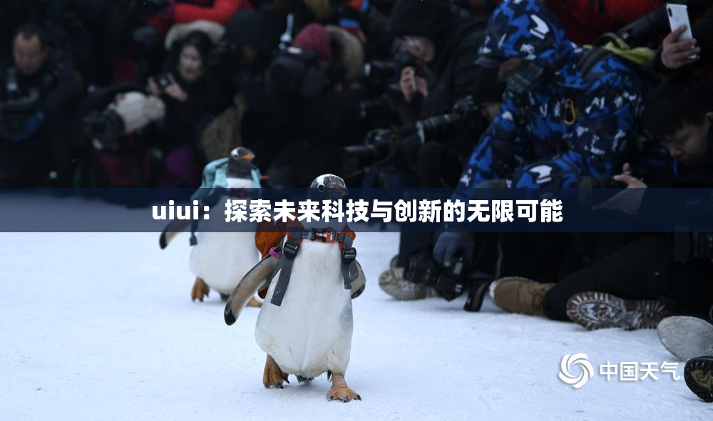 uiui：探索未来科技与创新的无限可能