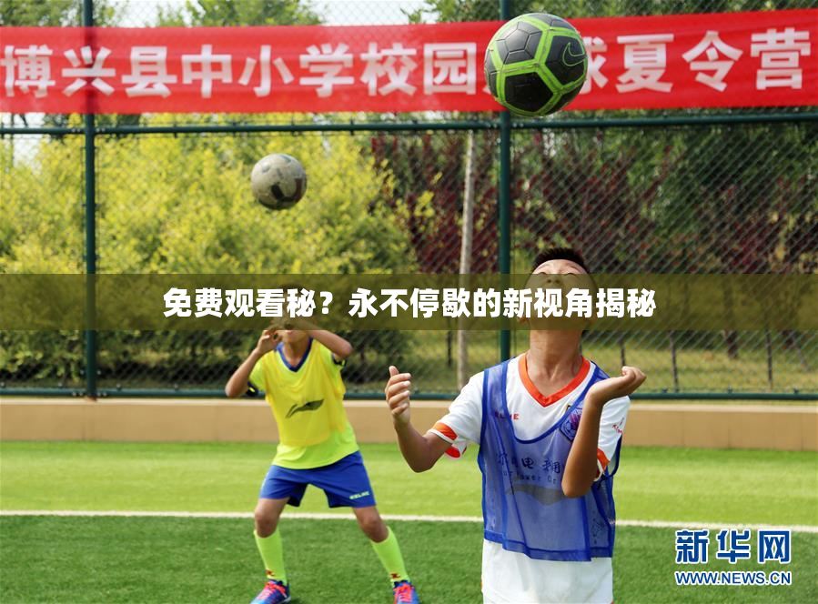 免费观看秘？永不停歇的新视角揭秘