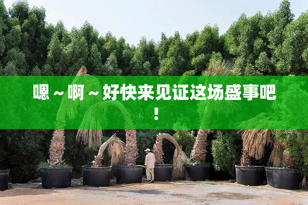 嗯～啊～好快来见证这场盛事吧！