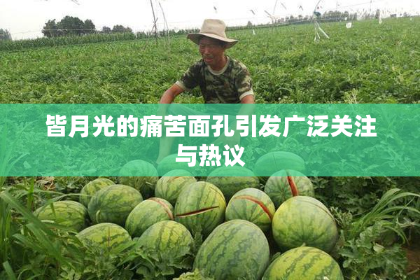 皆月光的痛苦面孔引发广泛关注与热议