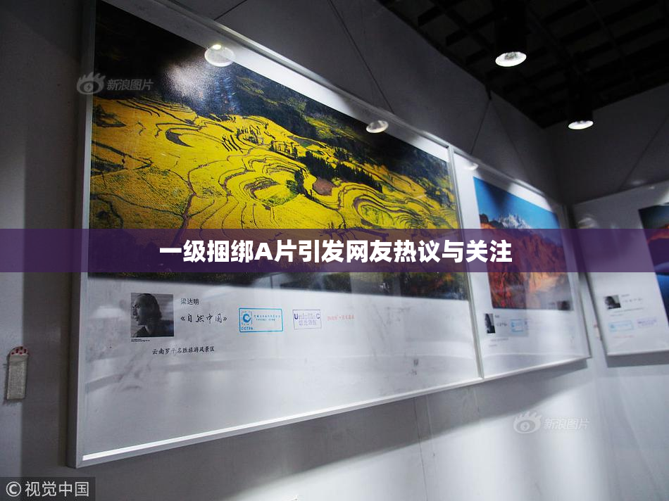 一级捆绑A片引发网友热议与关注