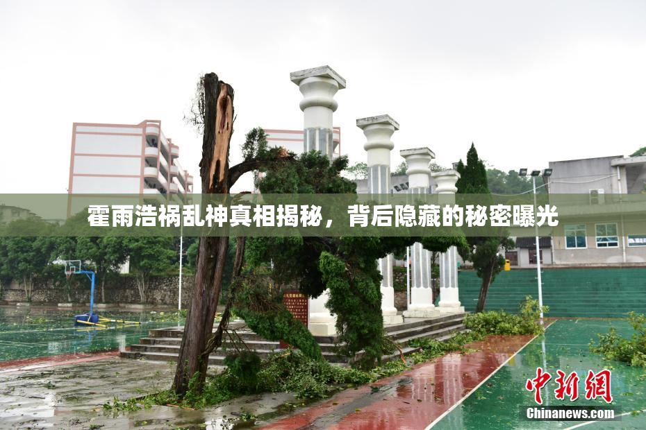 霍雨浩祸乱神真相揭秘，背后隐藏的秘密曝光