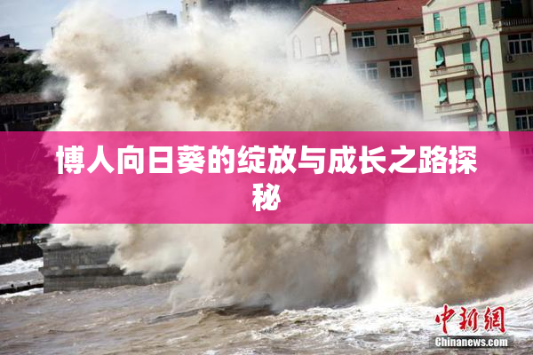 博人向日葵的绽放与成长之路探秘