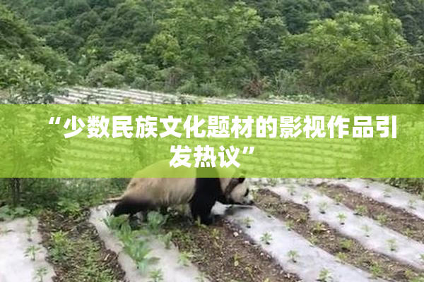 “少数民族文化题材的影视作品引发热议”