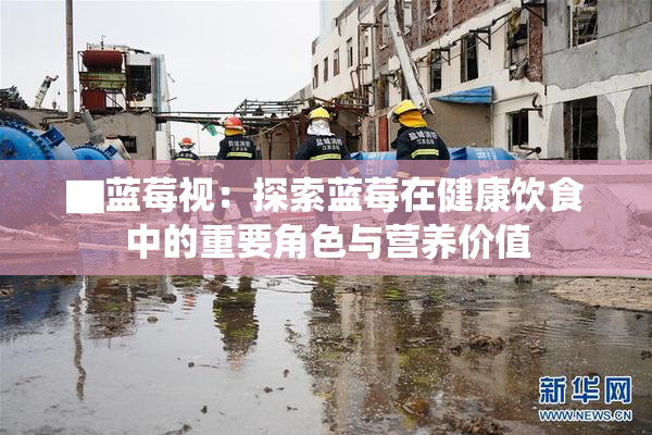 ▇蓝莓视：探索蓝莓在健康饮食中的重要角色与营养价值