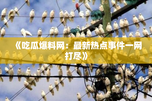 《吃瓜爆料网：最新热点事件一网打尽》