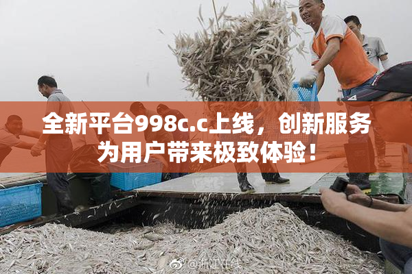 全新平台998c.c上线，创新服务为用户带来极致体验！