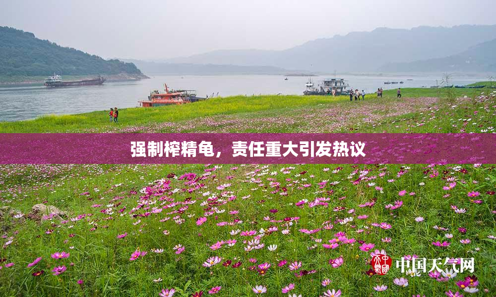 强制榨精龟，责任重大引发热议