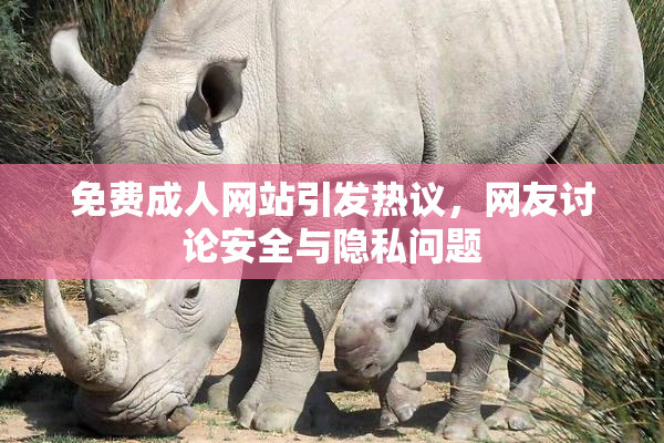 免费成人网站引发热议，网友讨论安全与隐私问题