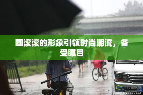 圆滚滚的形象引领时尚潮流，备受瞩目