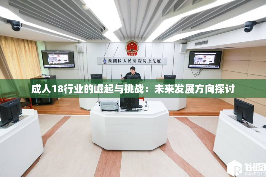 成人18行业的崛起与挑战：未来发展方向探讨