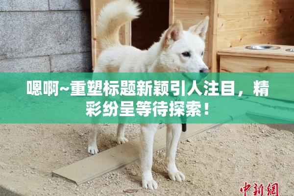 嗯啊~重塑标题新颖引人注目，精彩纷呈等待探索！