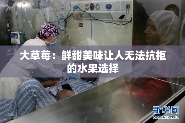 大草莓：鲜甜美味让人无法抗拒的水果选择