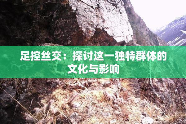 足控丝交：探讨这一独特群体的文化与影响
