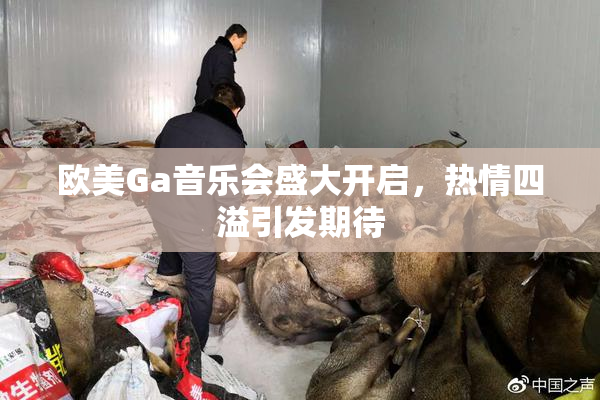 欧美Ga音乐会盛大开启，热情四溢引发期待