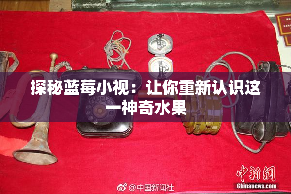 探秘蓝莓小视：让你重新认识这一神奇水果