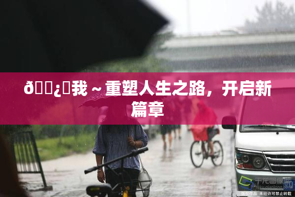 🌿‌我～重塑人生之路，开启新篇章