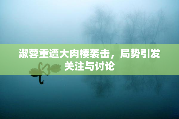 淑蓉重遭大肉楱袭击，局势引发关注与讨论