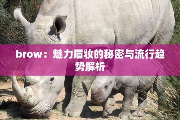 brow：魅力眉妆的秘密与流行趋势解析