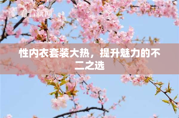 性内衣套装大热，提升魅力的不二之选