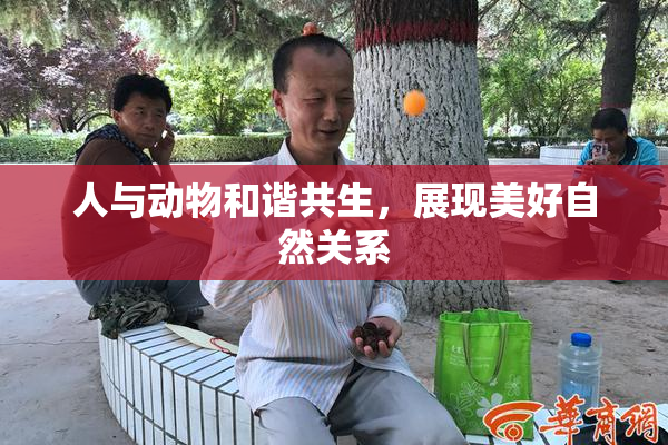 人与动物和谐共生，展现美好自然关系