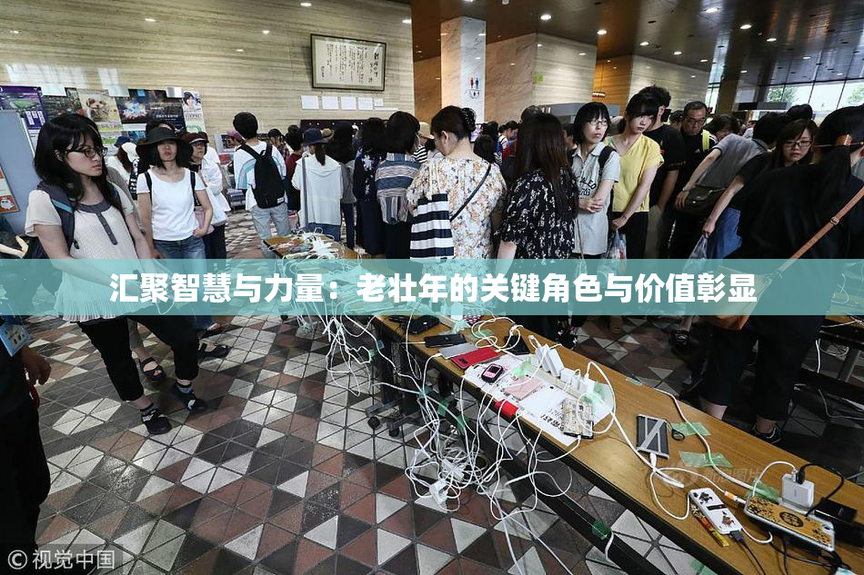 汇聚智慧与力量：老壮年的关键角色与价值彰显