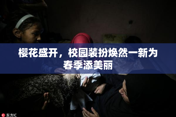樱花盛开，校园装扮焕然一新为春季添美丽