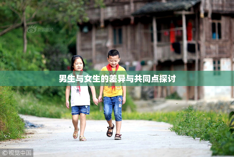 男生与女生的差异与共同点探讨