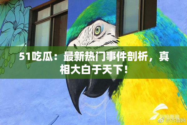 51吃瓜：最新热门事件剖析，真相大白于天下！