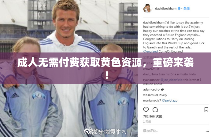 成人无需付费获取黄色资源，重磅来袭！