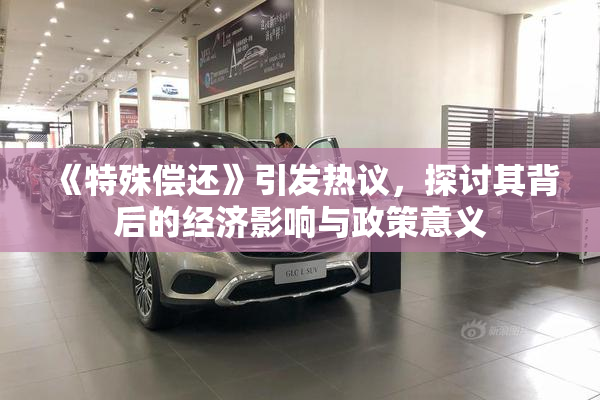 《特殊偿还》引发热议，探讨其背后的经济影响与政策意义
