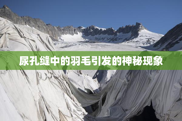 尿孔缝中的羽毛引发的神秘现象