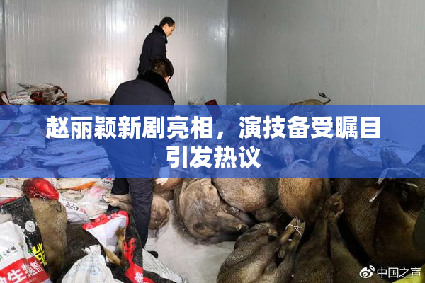 赵丽颖新剧亮相，演技备受瞩目引发热议