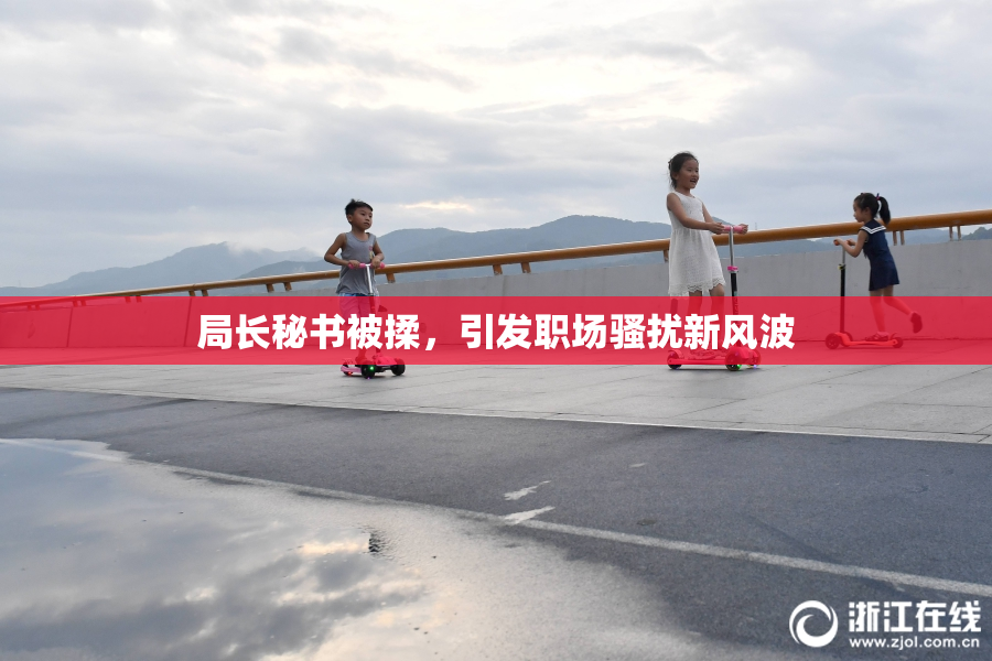 局长秘书被揉，引发职场骚扰新风波