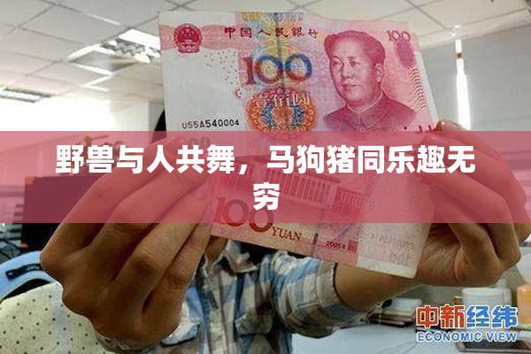 野兽与人共舞，马狗猪同乐趣无穷