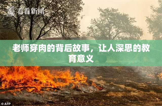 老师穿肉的背后故事，让人深思的教育意义