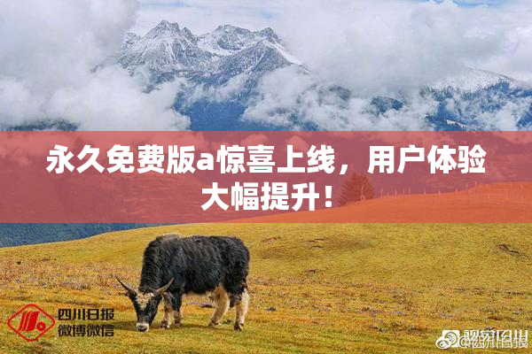 永久免费版a惊喜上线，用户体验大幅提升！