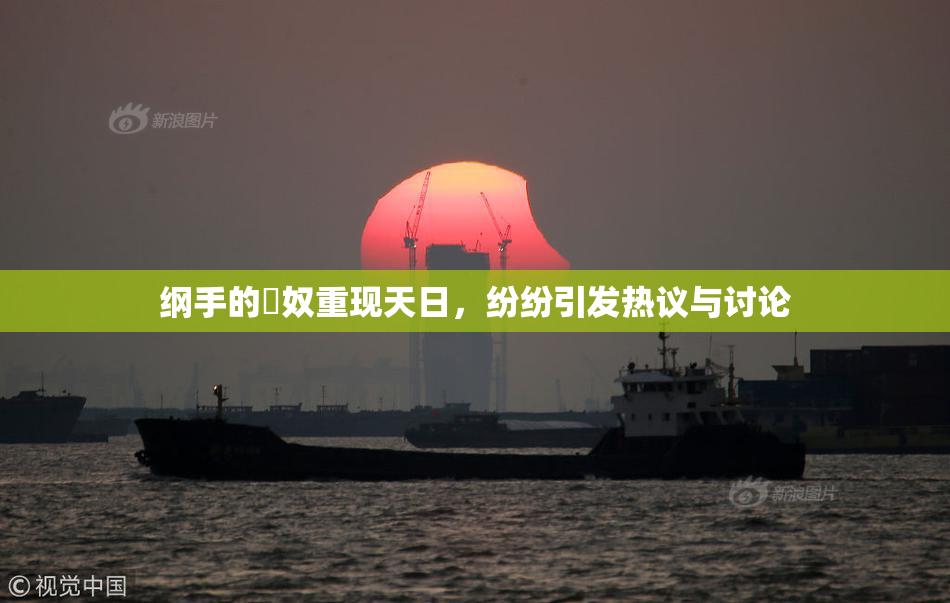 纲手的婬奴重现天日，纷纷引发热议与讨论