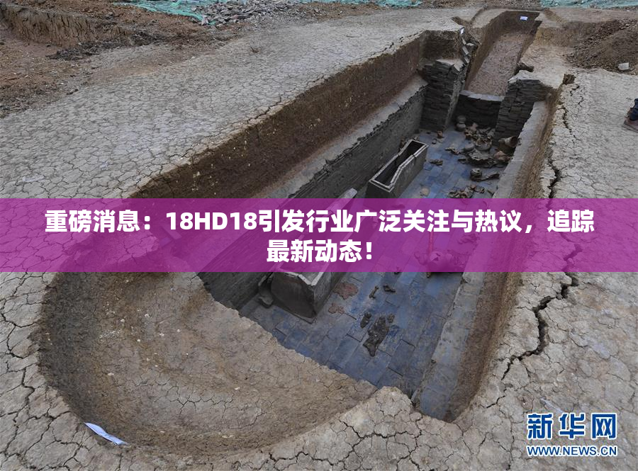 重磅消息：18HD18引发行业广泛关注与热议，追踪最新动态！