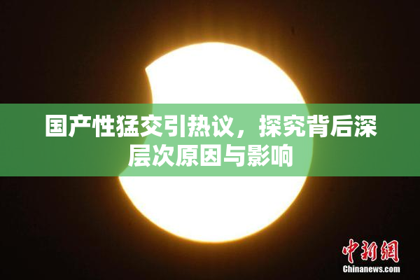 国产性猛交引热议，探究背后深层次原因与影响