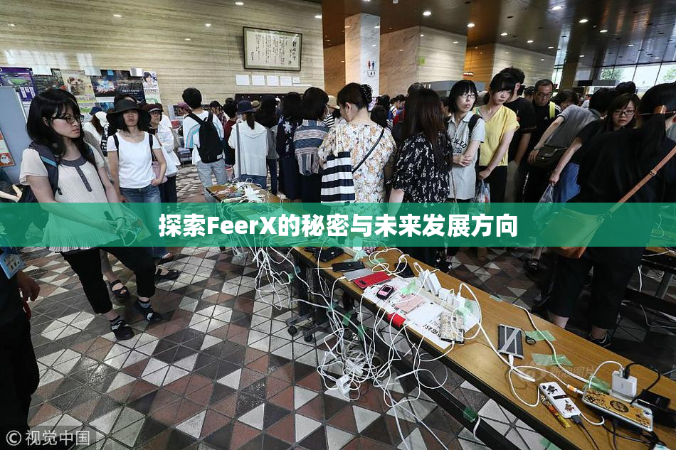 探索FeerX的秘密与未来发展方向