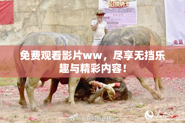 免费观看影片ww，尽享无挡乐趣与精彩内容！