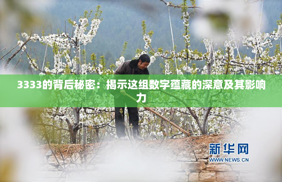 3333的背后秘密：揭示这组数字蕴藏的深意及其影响力