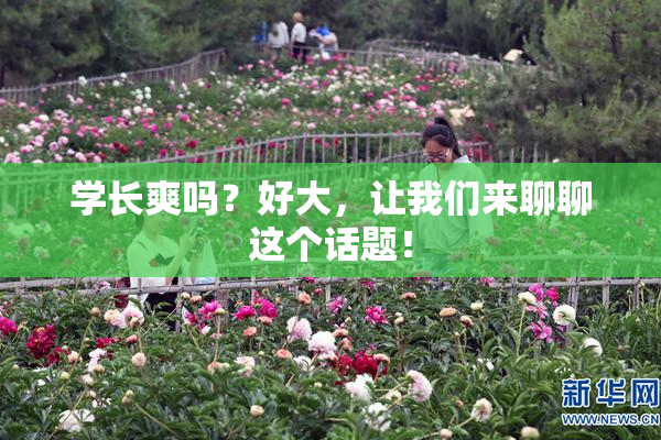 学长爽吗？好大，让我们来聊聊这个话题！