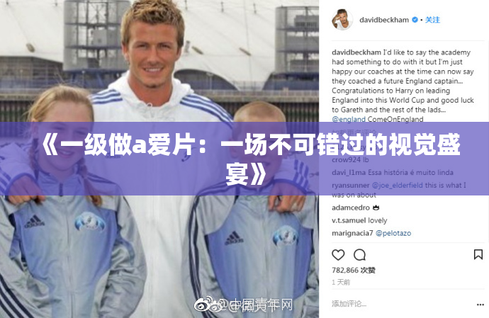 《一级做a爱片：一场不可错过的视觉盛宴》