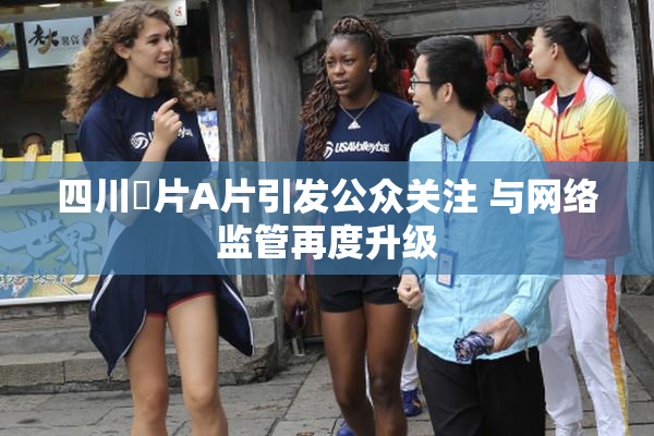 四川婬片A片引发公众关注 与网络监管再度升级