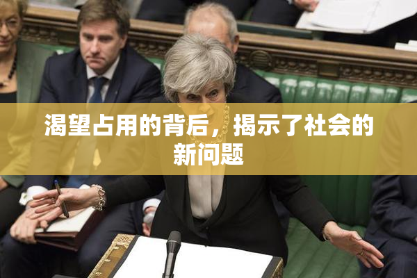 渴望占用的背后，揭示了社会的新问题