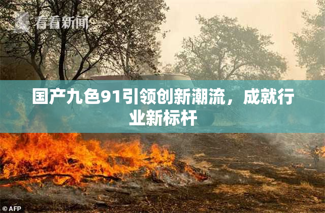 国产九色91引领创新潮流，成就行业新标杆